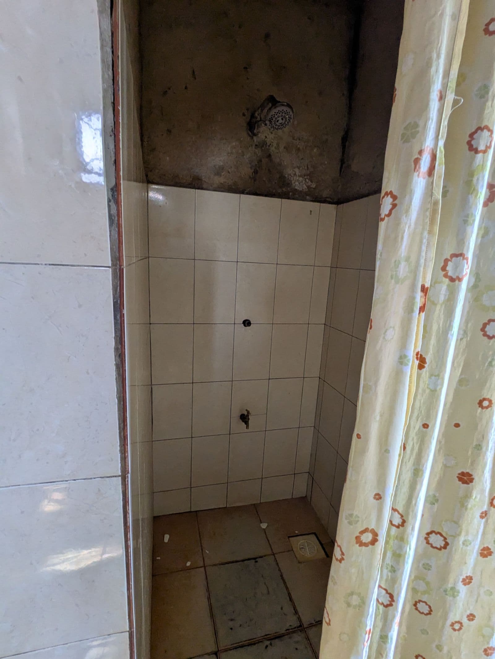 Elizabeth Exotic hostel